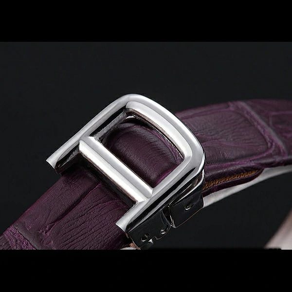 Cartier Santos 100 Diamond Silver Bezel new59826