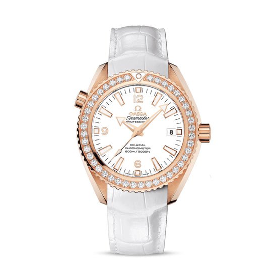 Omega Replica Watch Seamaster PLANET OCEAN 600M OMEGA CO‑AXIAL 232.58.42.21.04.001