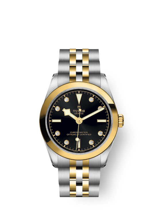 Tudor Replica Watch Black Bay 31 S &G, 316L Stainless Steel and 18k Yellow Gold, M79603-0006