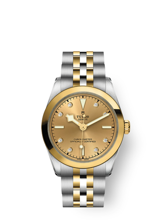 Tudor Replica Watch Black Bay 31 S &G, 316L Stainless Steel and 18k Yellow Gold, M79603-0008