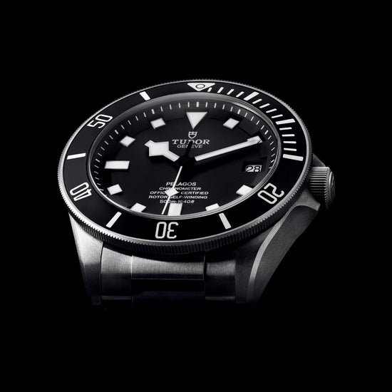 Tudor Replica Watch Pelagos, Titanium, 42mm, M25600TN-0001